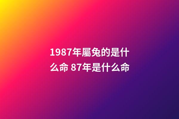1987年屬兔的是什么命 87年是什么命-第1張-觀點-玄機派